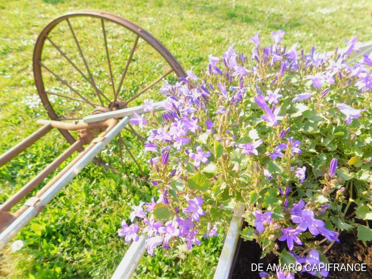 Tour-de-Faure Le Puits De Garival B&B 외부 사진